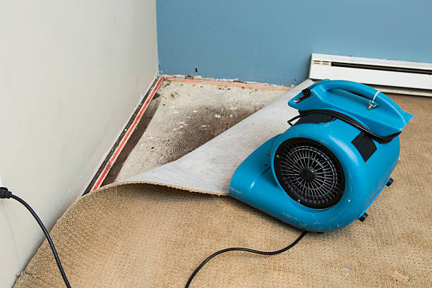 Trusted Sebring, OH Water damage restoration Experts